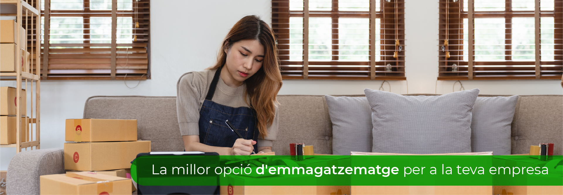 CAT_EMPRESAS Lloguer de magatzems per a empreses | Cenema Trasters