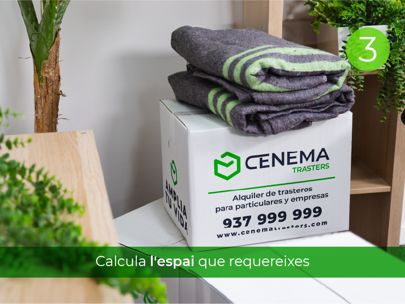 Servei de mudances | Cenema Trasters